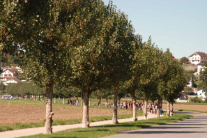 26 Arobase 2 002.jpg